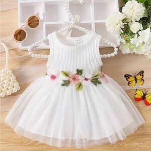 Infant Baby Girl’s Pink Embroidered Sleeveless White Dress (3-6m) NWT